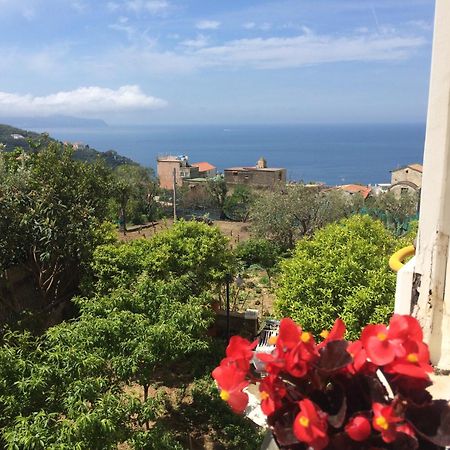 Relais Il Pennino Bed & Breakfast Massa Lubrense Room photo